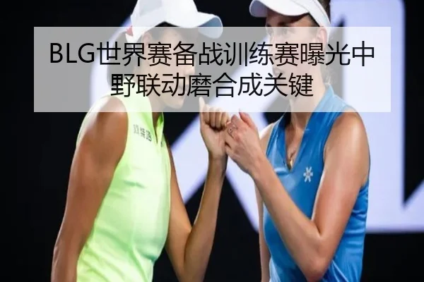BLG世界赛备战训练赛曝光中野联动磨合成关键 - leyu.com